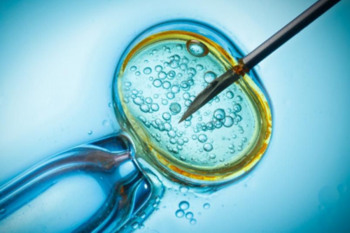 在美国完成第三代做试管代生价格后！附做试管代生价格流程参考！