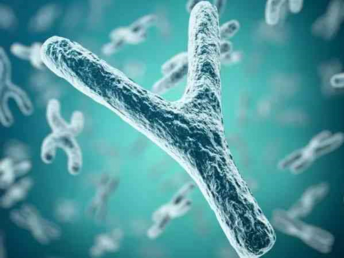 济南代生的收费成功率比较高的医院排名是什么？2026年济南代生的收费医院公