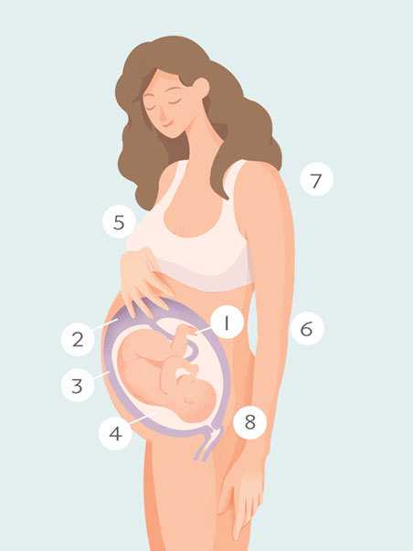 卵巢微刺激方案主要适合哪些人群(什么是卵巢微刺激方案)