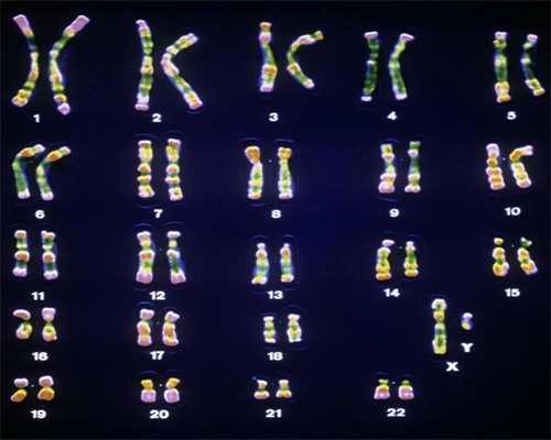 青岛包生男孩第三代公立试管代生医院名单排名？