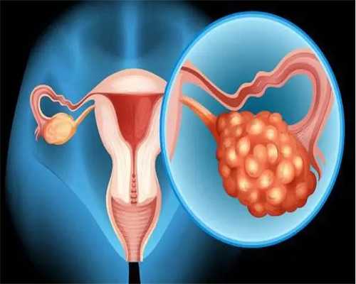 成都私立代生机构的预约指南与医院选择