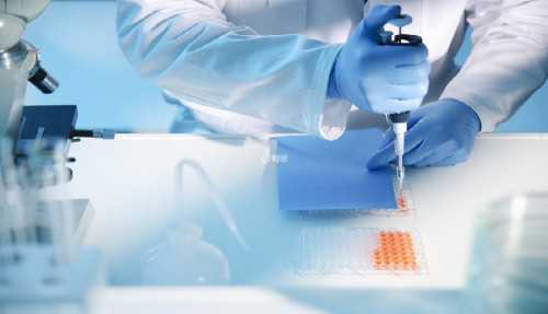 南宁赴柬埔寨三代试管助孕咨询费用及流程解析